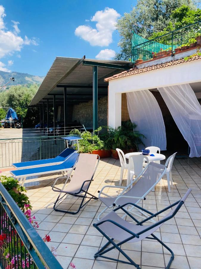 维克艾库塞La Terrazza公寓 外观 照片